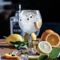 A stemmed glass of clear liquid with ice, surrounded by cut oranges, lemons and various leaves.